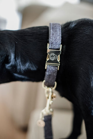 Wool Dog Collar