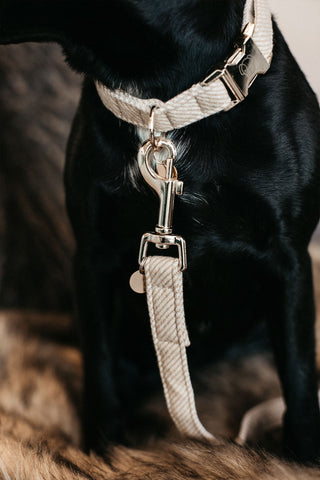 Wool Dog Leash