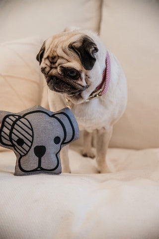 Hundlegetøj Hundehoved