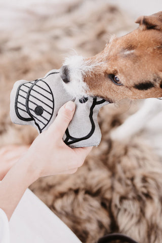 Hundlegetøj Hundehoved