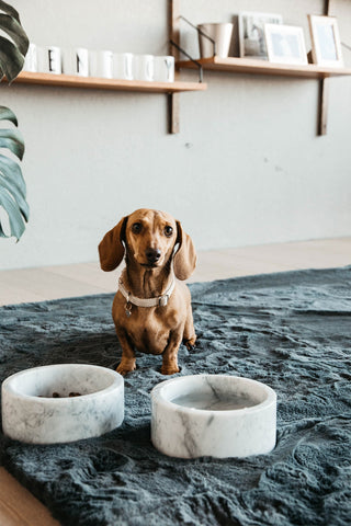 Marmor Hundeskål