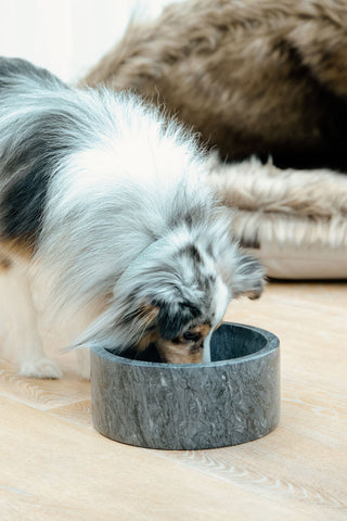 Marmor Hundeskål
