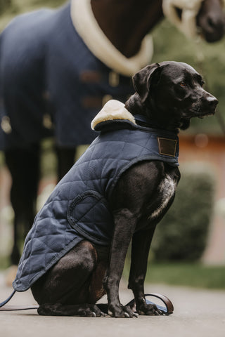 Original Dog Coat 160g