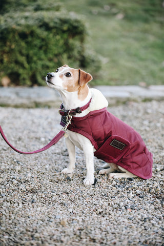Original Dog Coat 160g