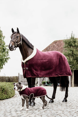 Heavy Fleece Hundtäcke