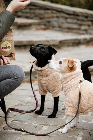 Teddy Fleece Hundetrøje