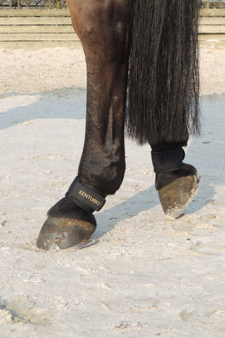 Kogelbeschermer