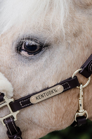 Leather Halter Sheepskin