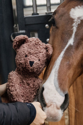 Toy Bear