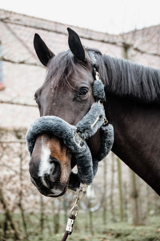 Kentucky Horsewear Lammfellhalfter
