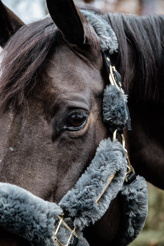 Kentucky Horsewear Lammfellhalfter