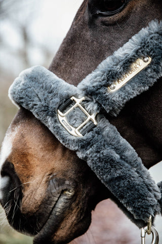 Kentucky Horsewear Lammfellhalfter