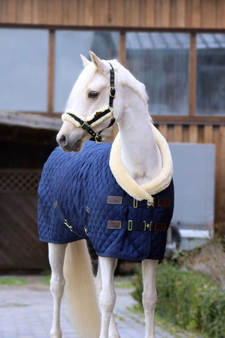 Show Rug 160g