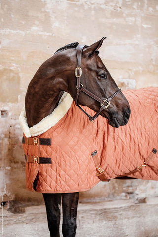 Show Rug 160g