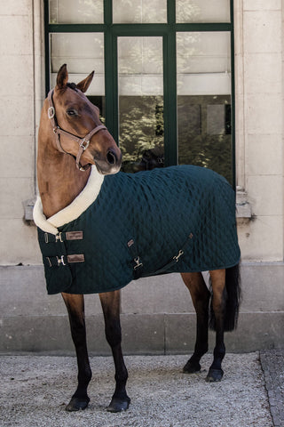 Show Rug 160g