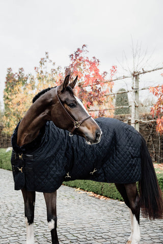 Show Rug 160g