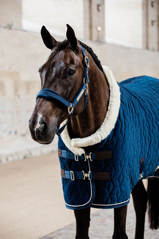 Show Rug Velvet 160g