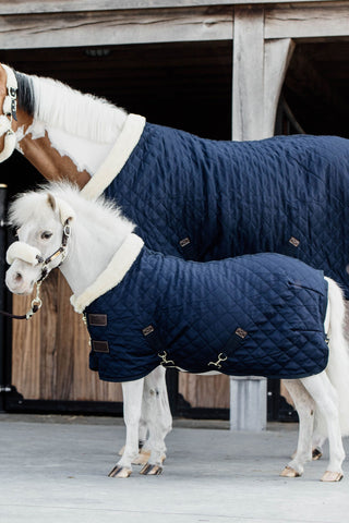 Show Rug Tiny Collection