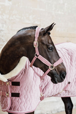 Show Rug Velvet 160g