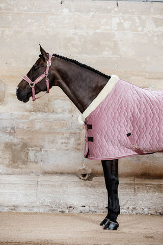 Show Rug Velvet 160g