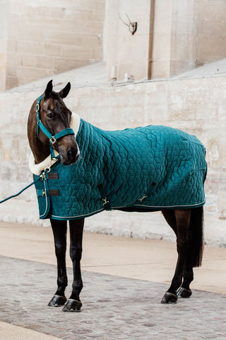 Show Rug Velvet 160g