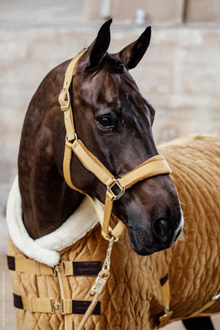 Show Rug Velvet 160g