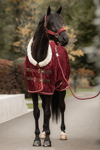 Show Rug Velvet 160g