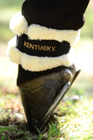 Kodeleds beskytter Lammeskind