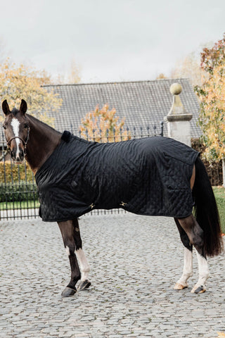 Stable Rug 0g