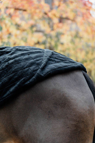 Stable Rug 0g