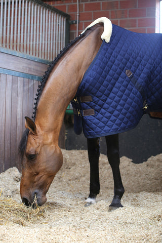 Stable Rug 200g