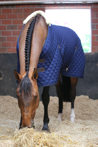 Stable Rug 400g