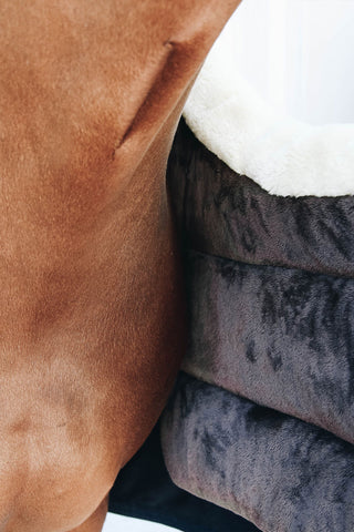 Blanket Bib Winter
