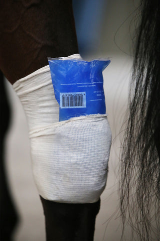 Tendon Grip Bandage