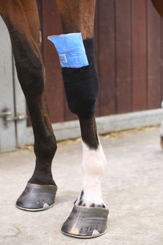 Bandage de protection pour tendon