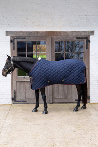 Stable Rug 160g Wave Navy