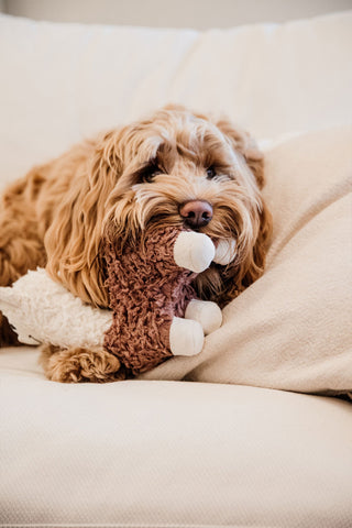 Alpaca Alfredo Hundelegetøj