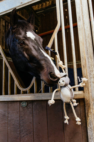 Paardenspeelgoed Ezel