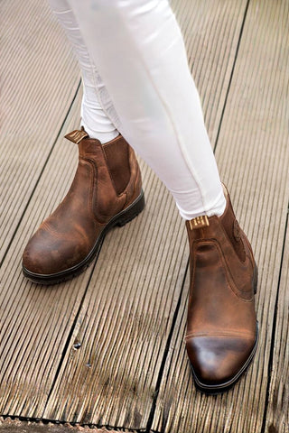 Mountain Horse Spring River Jodhpur