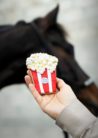 Horse Treats Foodie Cookie 3-pack