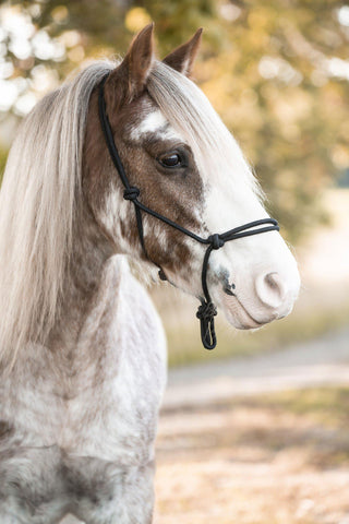Rope Halter