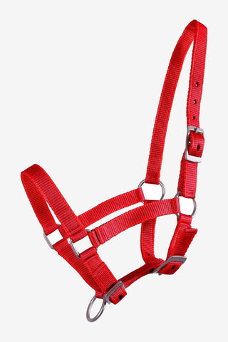 Foal Halter Red