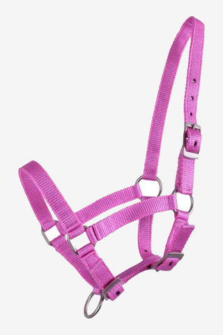 Foal Halter Pink