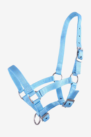 Foal Halter Light Blue