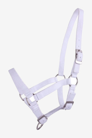 Foal Halter White