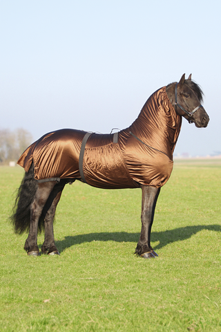 Eksemdækken Big Neck Brun