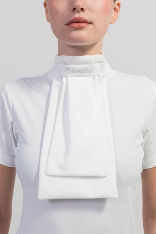 Plastron Logo