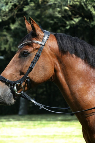 SD Design Anatomiskt Träns Watch Out