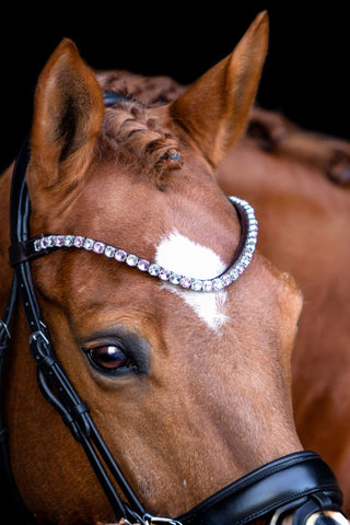 SD Design Be Tempted Pannband