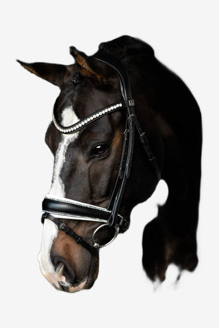 SD Design Cantolar Pannband